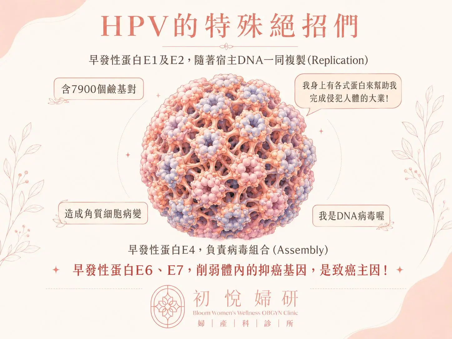 HPV病毒介紹